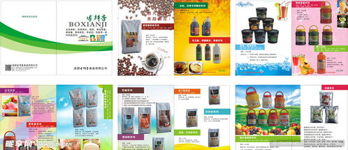 融合科技與美學(xué) 食品畫冊(cè)設(shè)計(jì)與定制化軟件開發(fā)的雙重創(chuàng)新