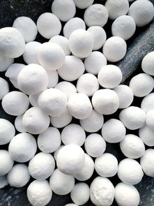 濮陽濮耐高溫材料 集團(tuán) 與您相約2019第七屆中國水泥節(jié)能環(huán)保技術(shù)交流大會