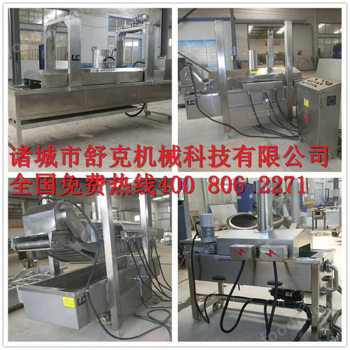 小魚仔油炸機 毛毛魚油炸生產線 海魚油炸機