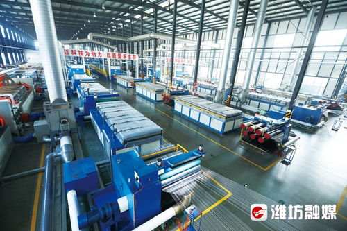 濰坊高密 產業(yè)聚 鏈 成勢 園區(qū)向 新 發(fā)力